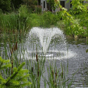 Small Pond Fountain