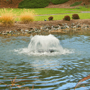 Small Aerating Pond Fountain 0.5 HP